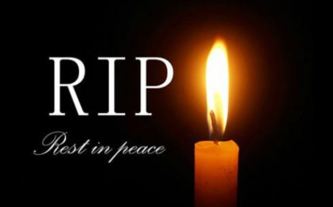 Liam Fitzgerald Obituary, Massachusetts Death: Beloved Bostonian, Environmental Advocate, and Cherished Son Remembered Following Tragic Accident